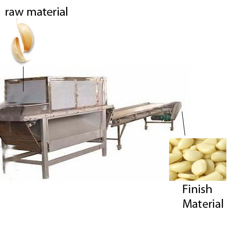 500 KG Capacity Automatic Garlic Peeling Machine By APS INDUSTRIES